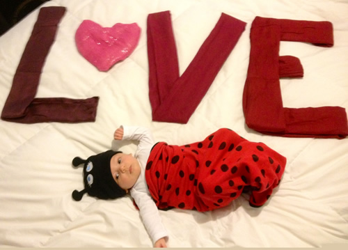 Love Bug