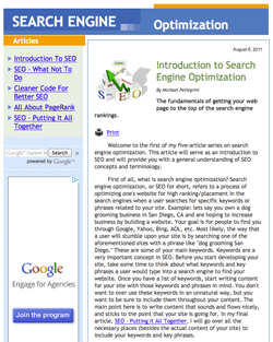Search Engine Optimization by Michael Pellegrini